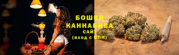 ГАЛЛЮЦИНОГЕННЫЕ ГРИБЫ Нея