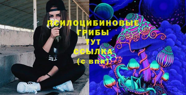 ГАЛЛЮЦИНОГЕННЫЕ ГРИБЫ Нея