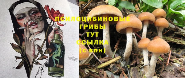 меф Нефтегорск