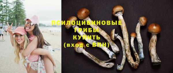 мдпв Нефтекумск