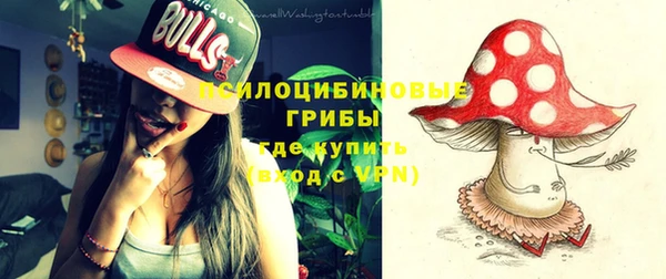 ГАЛЛЮЦИНОГЕННЫЕ ГРИБЫ Нея