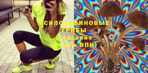 мдпв Нефтекумск