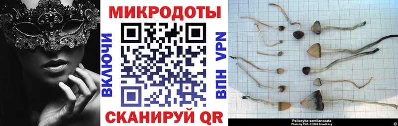 Галлюциногенные грибы мухоморы сколько стоит Балаково