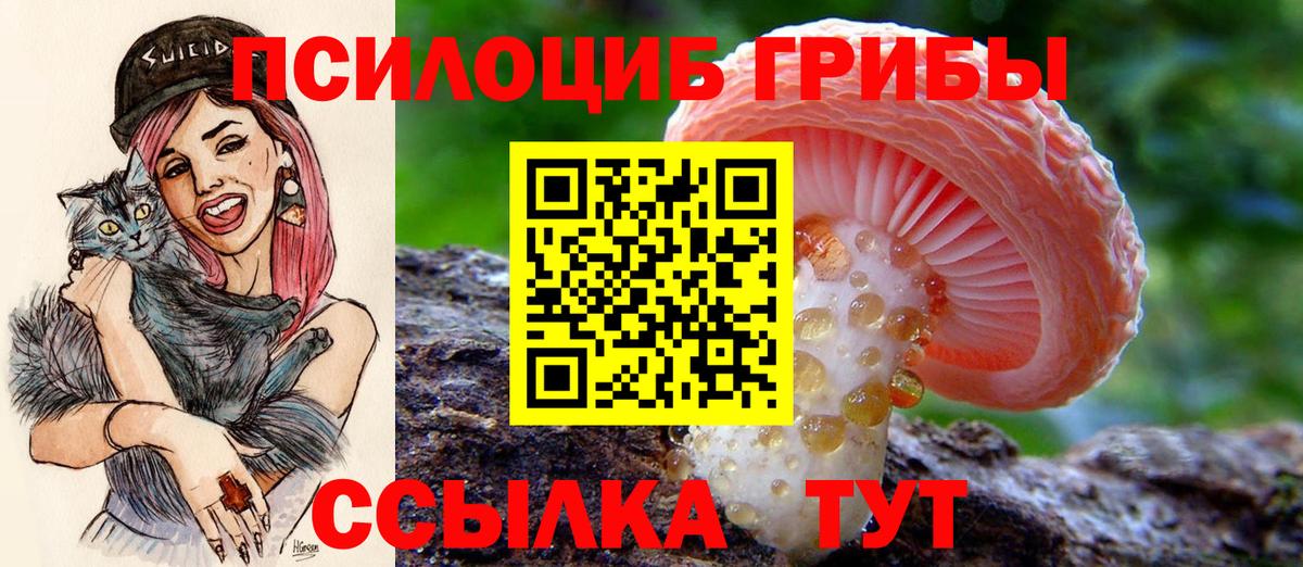 Галлюциногенные грибы Magic Shrooms  Псилоцибиновые грибы Magic Shrooms  Балаково 