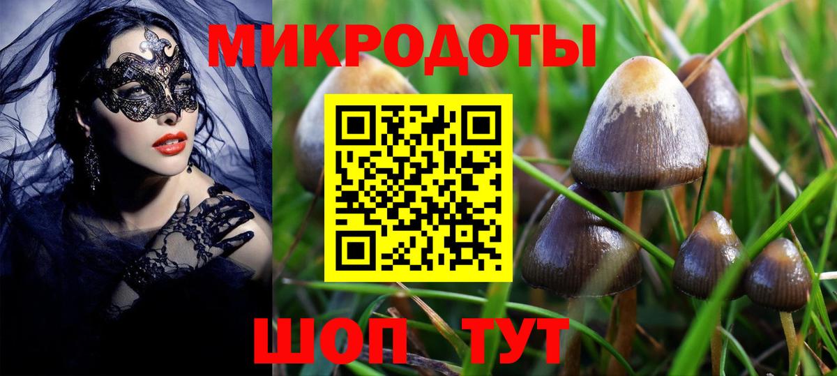 Балаково  Псилоцибиновые грибы ЛСД  Вход с VPN 